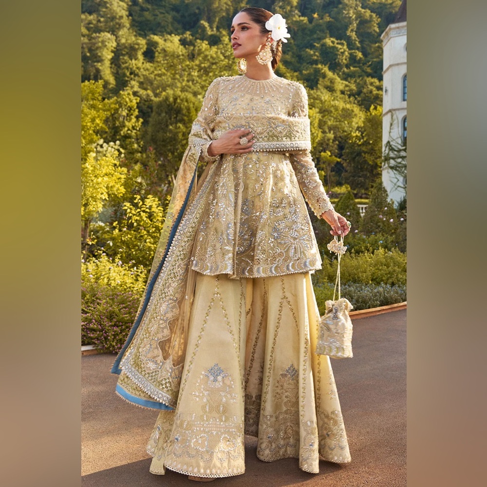 Soraya Pakistani Indian dress suit